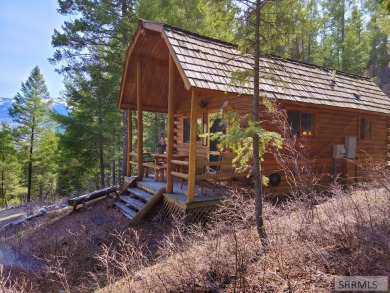 Williams Lake Home For Sale in Salmon Idaho