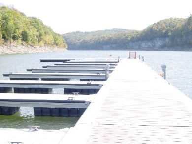 Resort-Style Lake Living at The Villas at Woodson Bend - photo 9