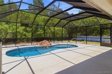 Beautifully updated, this 4-bedroom plus office pool home is - photo 41