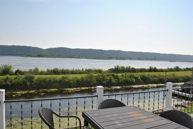 Mississippi River Waterfront on Abel Island! Experience the best - photo 50