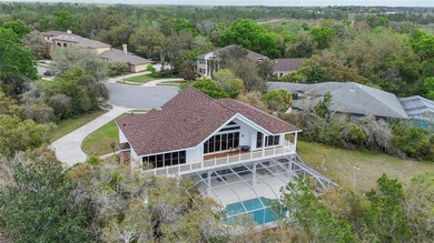 Beautiful 2 Story Saltwater Pool Home In The Waters Of Weeki - photo 50
