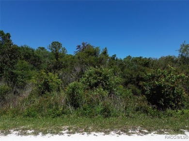 Withlacoochee River Lot For Sale in Webster Florida
