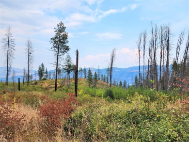 Lake Acreage For Sale in Kettle Falls, Washington