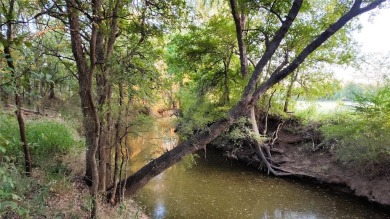 (private lake, pond, creek) Home For Sale in Eastland Texas