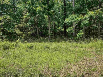 Lake Lot For Sale in Hot Springs Village, Arkansas