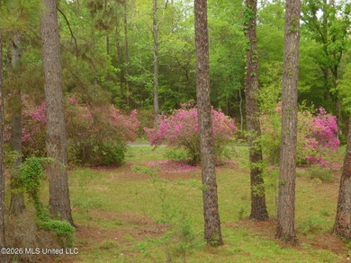 With a little love and creativity, this 3 bedroom, 2 bath home - photo 18
