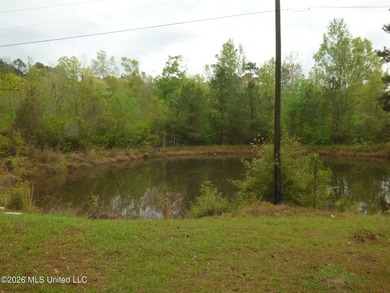 With a little love and creativity, this 3 bedroom, 2 bath home - photo 20
