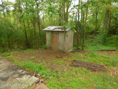 With a little love and creativity, this 3 bedroom, 2 bath home - photo 21
