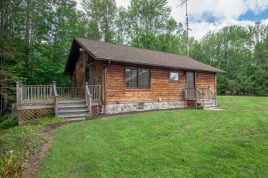 Lake Home For Sale in Hart, Michigan