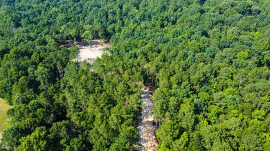 Strom Thurmond / Clarks Hill Lake Acreage For Sale in Lincolnton Georgia