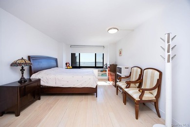 Experience luxury waterfront living in the heart of Battery Park - photo 11
