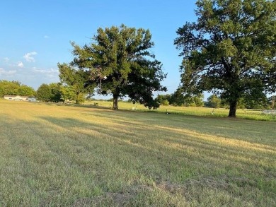 Very nice level piece of land for building your home. Corner lot - Lake Lot For Sale in Alba, Texas