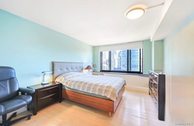 Experience luxury waterfront living in the heart of Battery Park - photo 14