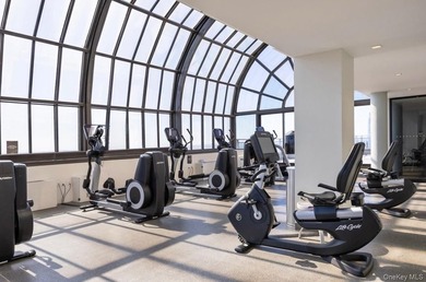 Experience luxury waterfront living in the heart of Battery Park - photo 20