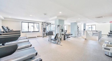 Experience luxury waterfront living in the heart of Battery Park - photo 21