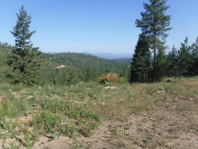 Lake Acreage For Sale in Loon Lake, Washington