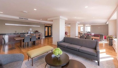 Experience luxury waterfront living in the heart of Battery Park - photo 22