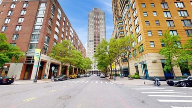 Experience luxury waterfront living in the heart of Battery Park - photo 27
