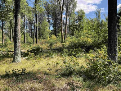 Now's your chance to own just over 2 acres in the Southview - Lake Acreage For Sale in Necedah, Wisconsin