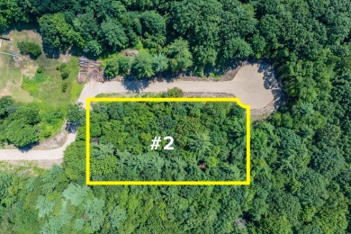 Lake Michigan - Van Buren County Lot For Sale in South Haven Michigan