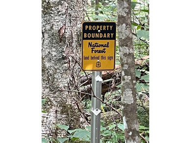 Beautiful lot with lake access to park/picnic area. Borders U.S - photo 1