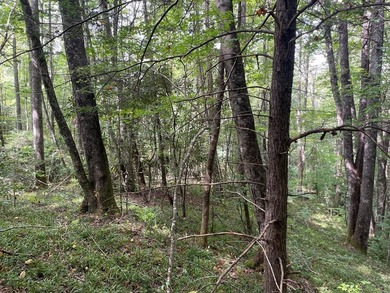 Beautiful lot with lake access to park/picnic area. Borders U.S - photo 3
