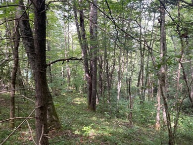 Beautiful lot with lake access to park/picnic area. Borders U.S - photo 4