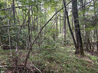 Beautiful lot with lake access to park/picnic area. Borders U.S - photo 6