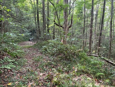 Beautiful lot with lake access to park/picnic area. Borders U.S - photo 7
