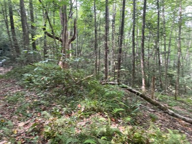Beautiful lot with lake access to park/picnic area. Borders U.S - photo 8