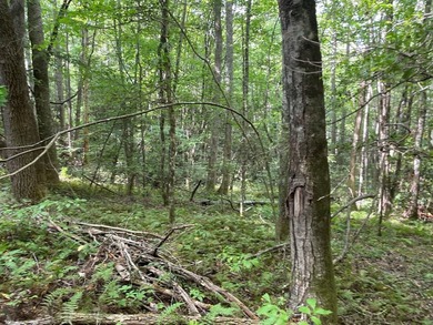 Beautiful lot with lake access to park/picnic area. Borders U.S - photo 10
