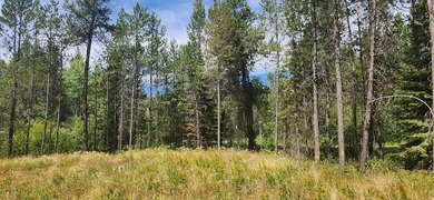 Lake Cascade  Lot For Sale in Donnelly Idaho