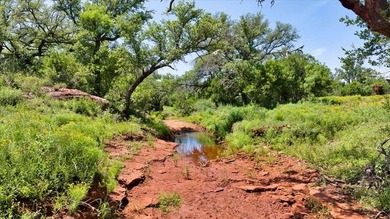 Red Lane Ranch is an excellent opportunity for cattle grazing - photo 16