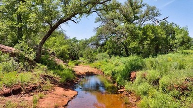 Red Lane Ranch is an excellent opportunity for cattle grazing - photo 17