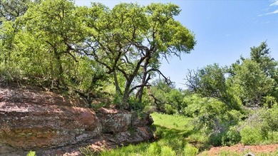 Red Lane Ranch is an excellent opportunity for cattle grazing - photo 18