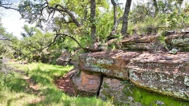 Red Lane Ranch is an excellent opportunity for cattle grazing - photo 19