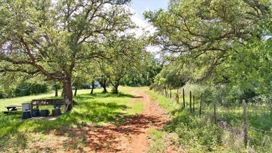 Red Lane Ranch is an excellent opportunity for cattle grazing - photo 25