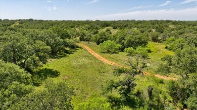 Red Lane Ranch is an excellent opportunity for cattle grazing - photo 28