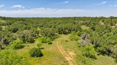 Red Lane Ranch is an excellent opportunity for cattle grazing - photo 30