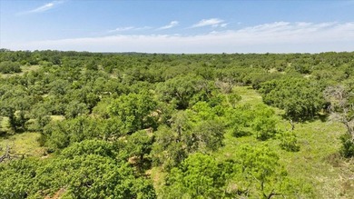 Red Lane Ranch is an excellent opportunity for cattle grazing - photo 31