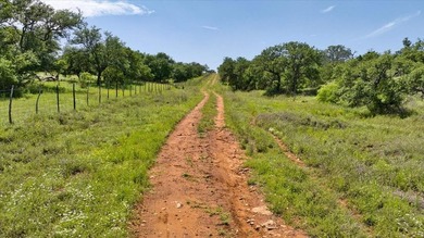 Red Lane Ranch is an excellent opportunity for cattle grazing - photo 33