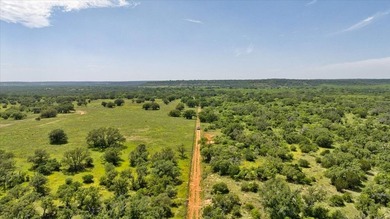 Red Lane Ranch is an excellent opportunity for cattle grazing - photo 34