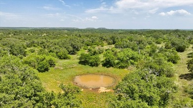 Red Lane Ranch is an excellent opportunity for cattle grazing - photo 36
