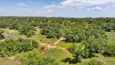 Red Lane Ranch is an excellent opportunity for cattle grazing - photo 39