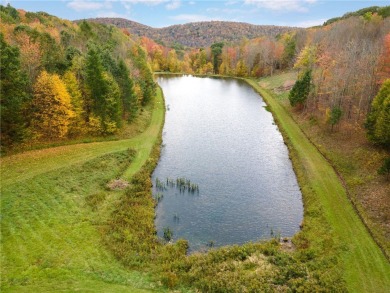 (private lake, pond, creek) Acreage For Sale in Franklin New York