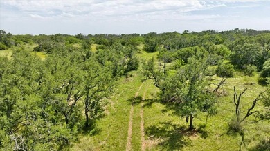 Red Lane Ranch is an excellent opportunity for cattle grazing - photo 41