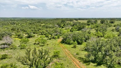 Red Lane Ranch is an excellent opportunity for cattle grazing - photo 42