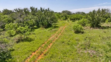 Red Lane Ranch is an excellent opportunity for cattle grazing - photo 43