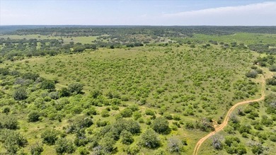 Red Lane Ranch is an excellent opportunity for cattle grazing - photo 44