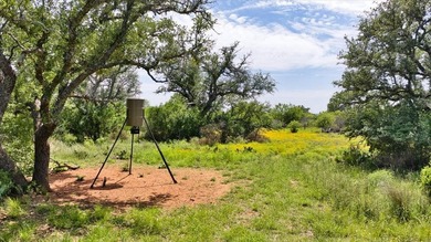 Red Lane Ranch is an excellent opportunity for cattle grazing - photo 48